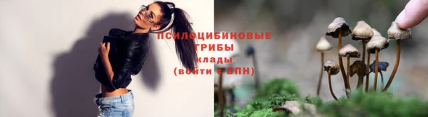 твердый Волоколамск